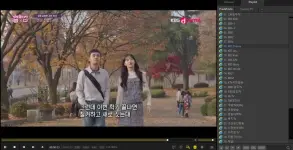 SS2.webp