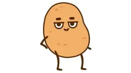 1000000070.webp