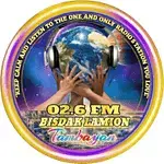 1739271120675.webp