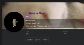 1739271281753.webp