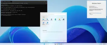 1739324493398.webp 1739324493398.webp