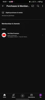 Screenshot_20250212_103144_YouTube.webp