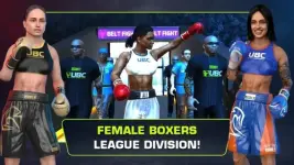 ultimate-boxing-champion-4-500x281.webp
