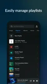 music-player-mp3-player-lark-player-3-500x890.webp music-player-mp3-player-lark-player-3-500x890.webp
