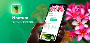 plantum-plant-identifier-1.webp plantum-plant-identifier-1.webp