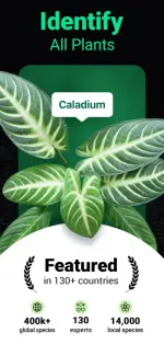 plantum-plant-identifier-2-500x1082.webp
