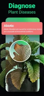 plantum-plant-identifier-3-500x1082.webp