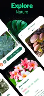plantum-plant-identifier-5-500x1082.webp