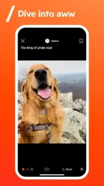 reddit-5-500x890.webp reddit-5-500x890.webp