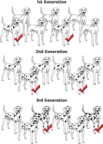 1739506671269.webp