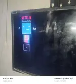 17396175916288056574680253267684.webp