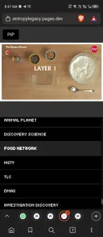 Screenshot_20250216-084746.webp