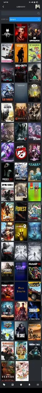 Screenshot_2025-02-17-16-28-44-749_com.valvesoftware.android.steam.community.webp