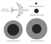 2024_YR4_size_comparison.webp
