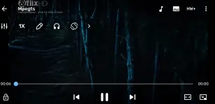 Screenshot_20250218_120638_MX Player.webp