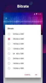 video-to-mp3-video-to-audio-6-500x890.webp