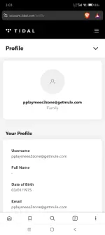 Screenshot_2025-02-19-15-03-15-599_com.brave.browser.webp