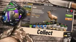 hunting-clash-hunter-games-7-500x281.webp hunting-clash-hunter-games-7-500x281.webp