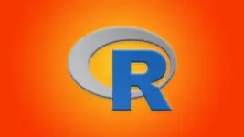 1000000393.webp