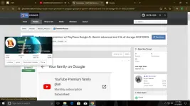 1740114711247.webp