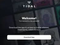 1740116224708.webp