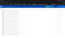 1740149510043.webp 1740149510043.webp