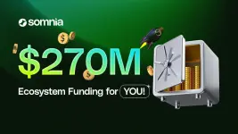 somnia fund.webp somnia fund.webp