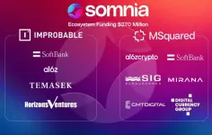 somnia funding.webp somnia funding.webp