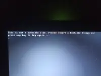 1000008383.webp