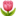 1f337.png 1f337.png