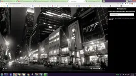 1740330383884.webp