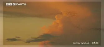 Screenshot_2025-02-24-15-20-36-399_org.videolan.vlc.webp