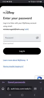 Screenshot_20250225_094518_Firefox.webp