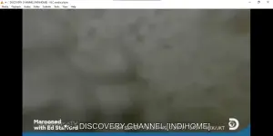 1740501022391.webp