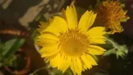 1000001928.webp