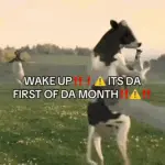 1740802804833.webp 1740802804833.webp