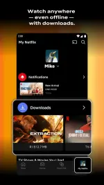 netflix-2-500x889.webp