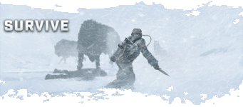 snow_wolves_sd.gif snow_wolves_sd.gif