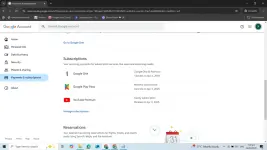1740914425199.webp