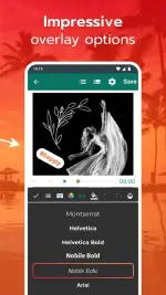 image-video-overlay-editor-4-500x889.webp