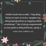 1741011746896.webp