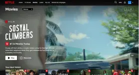 1741054841009.webp