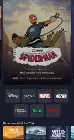 Screenshot_2025-01-31-07-03-09-432_com.disney.disneyplus-edit.webp