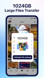 terabox-2.webp terabox-2.webp
