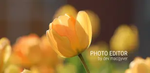 photo-editor-1.webp photo-editor-1.webp