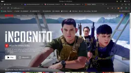 1741230158799.webp