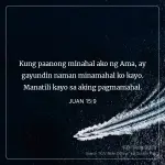 1741271231494.webp