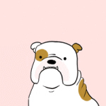 200.gif 200.gif