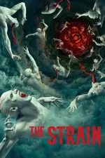 STRAIN.webp
