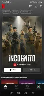 Screenshot_20250307_194613_Netflix.webp